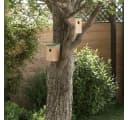 VIDAXL Vogelhaus 10er Set Tanne Massivholz Bild 1