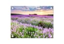 OnlyWow Gartenposter Lavendel Lila Blumen PVC 40x30 cm Bild 2