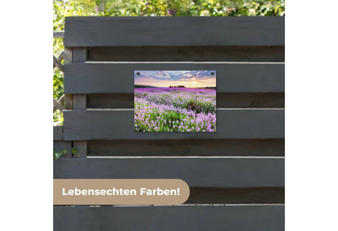 OnlyWow Gartenposter Lavendel Lila Blumen PVC 40x30 cm - Bild 4