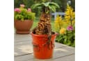 Disney Gartenfigur Mandrake 20,8 cm Polyresin Deko Bild 4