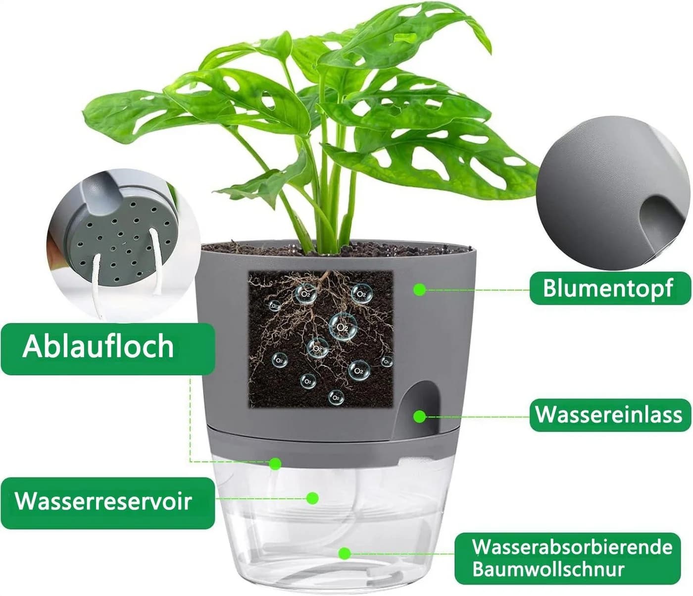 FOUORTUNATE-BEE Kräutertopf Set 3er mit Selbstbewässerung Weiß/Transparent - Bild 3