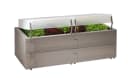 Juwel Hochbeet Gardenstar Woody Set Bild 2