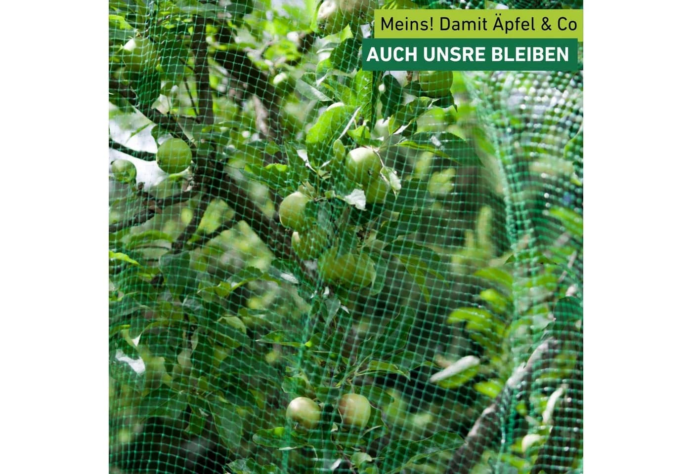 Windhager Vogelschutz-Netz Ortonet Polypropylen UV-stabilisiert - Bild 4