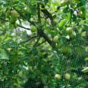 Windhager Schutznetz ORTONET 4x10 m Vogelschutznetz Bild 5