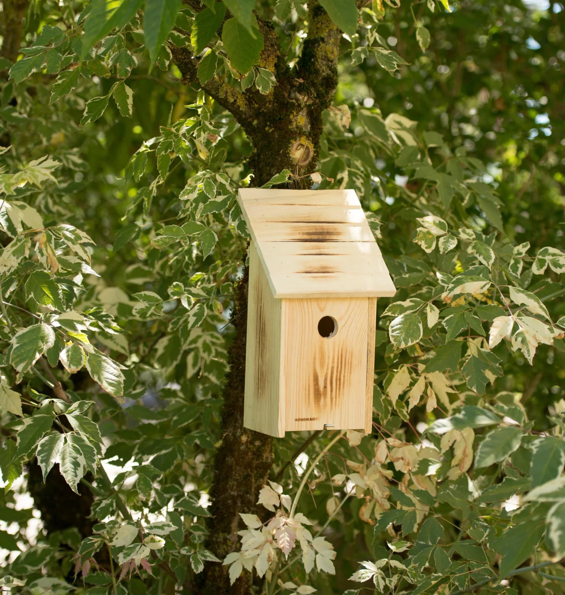 Nistkasten WINDHAGER Family Massivholz