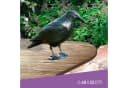 Windhager Vogelattrappe Crow Schwarz Bild 1