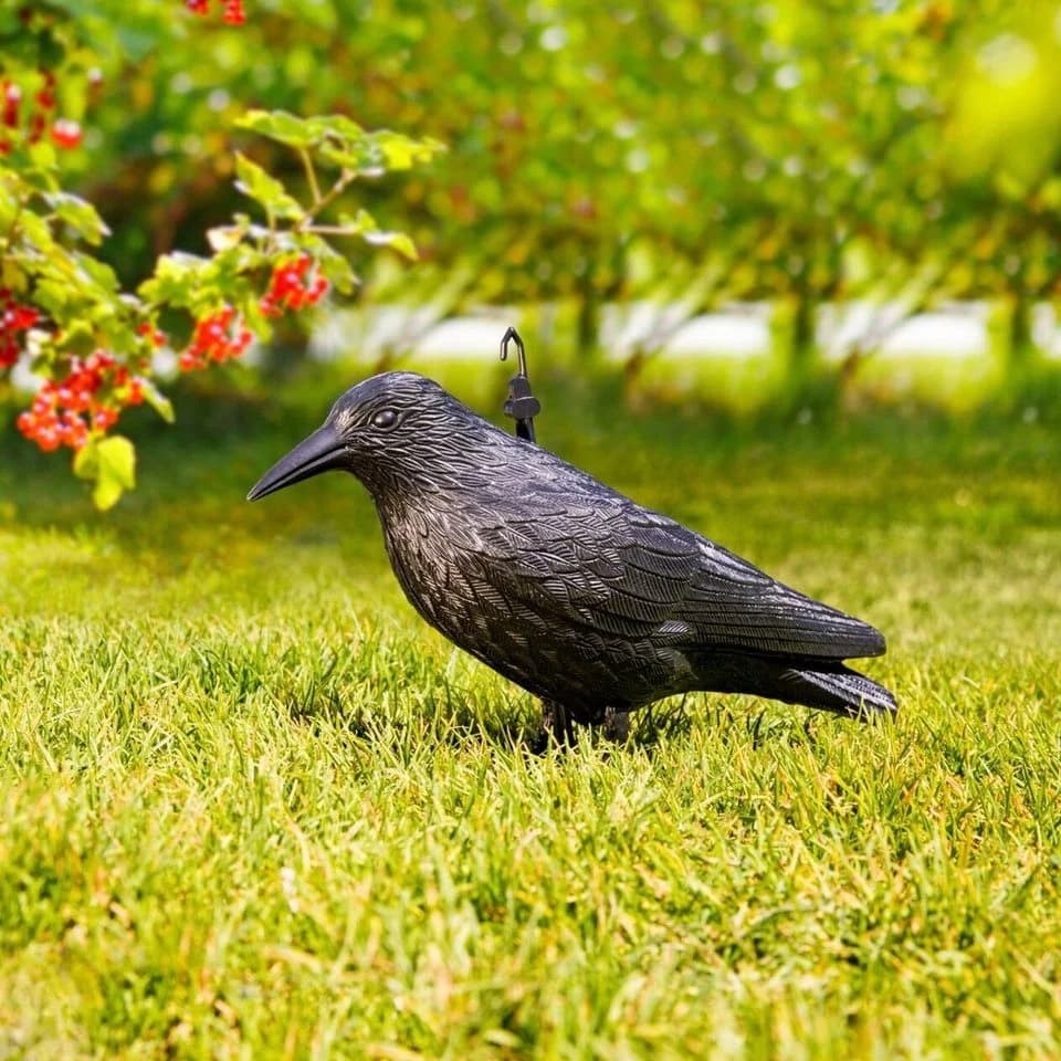 Windhager Vogelattrappe Crow Schwarz - Bild 4