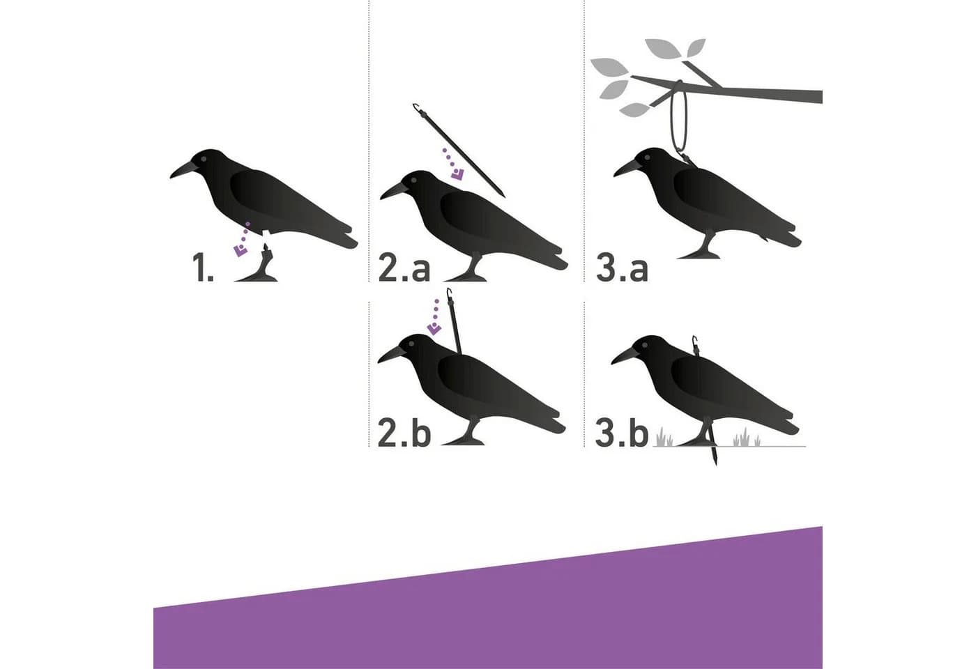 Windhager Vogelattrappe Crow Schwarz - Bild 5