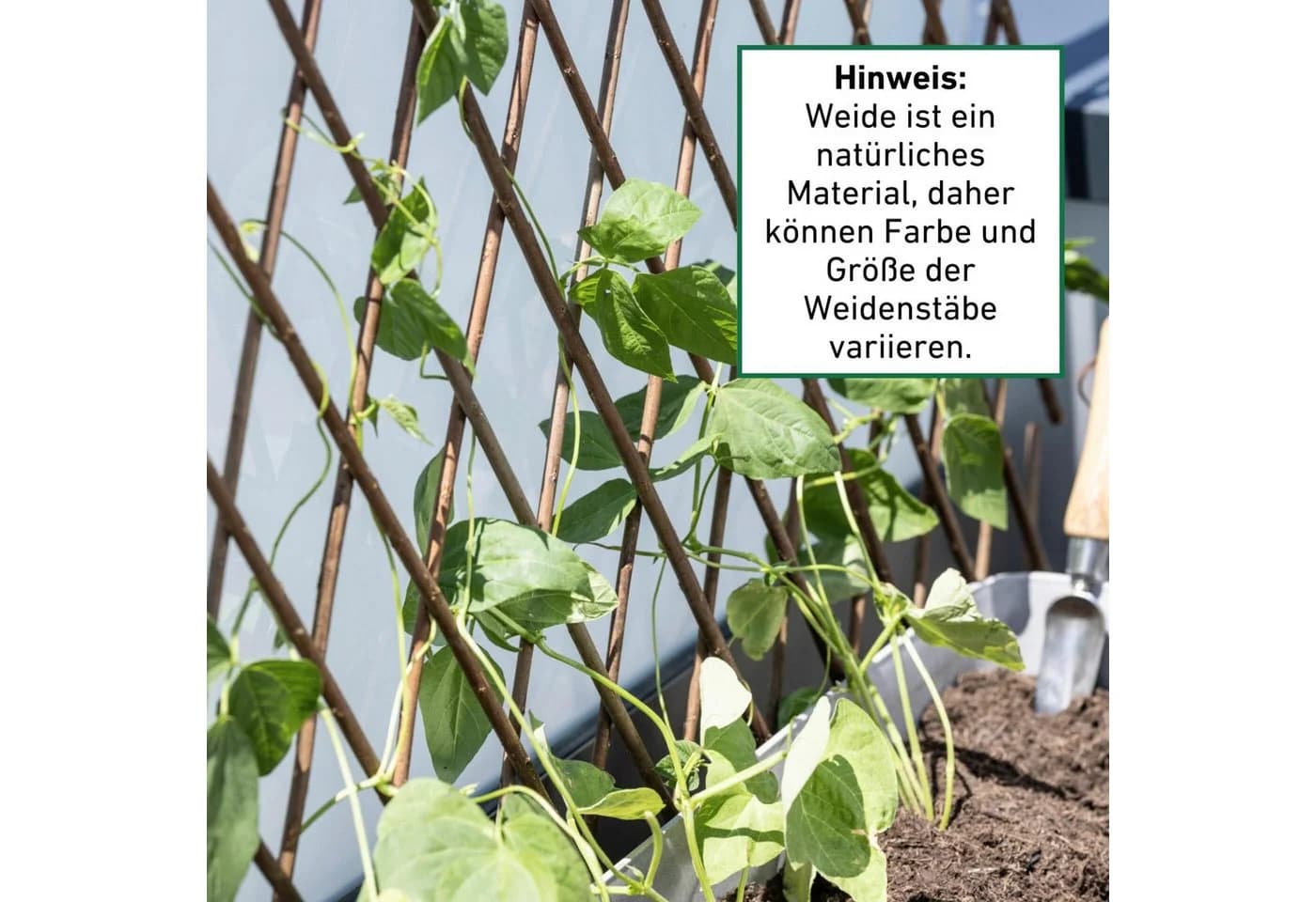 Windhager Rankgitter Weide-Spalier ausziehbar - Bild 4