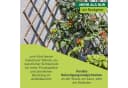 Windhager Rankgitter Weide-Spalier ausziehbar Bild 5