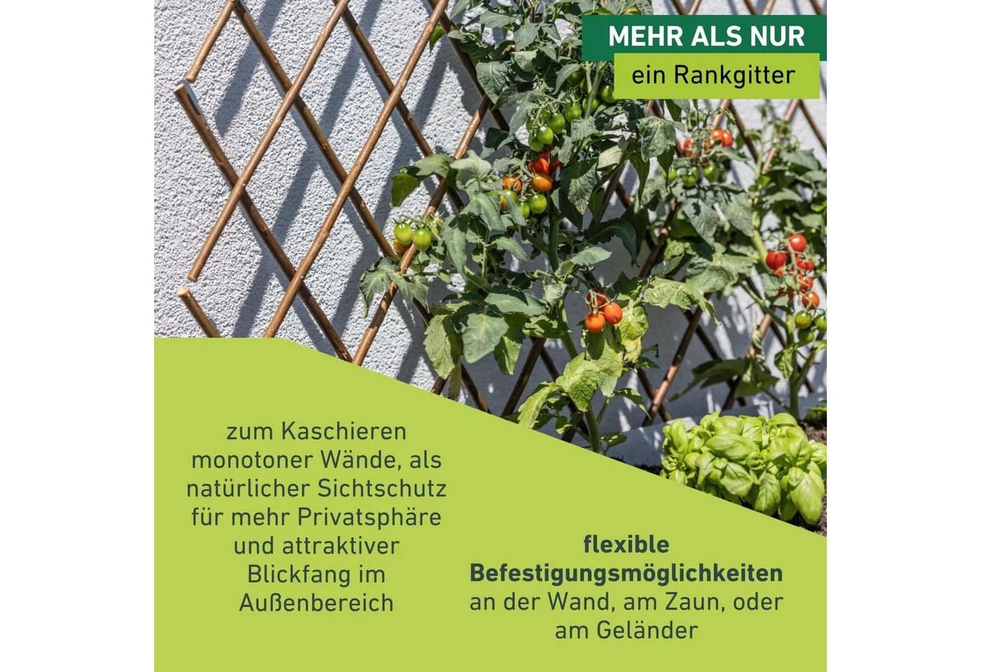 Windhager Rankgitter Weide-Spalier ausziehbar - Bild 5