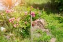 Windhager Gartenstecker Natur Holz für Rosenkugeln Bild 1