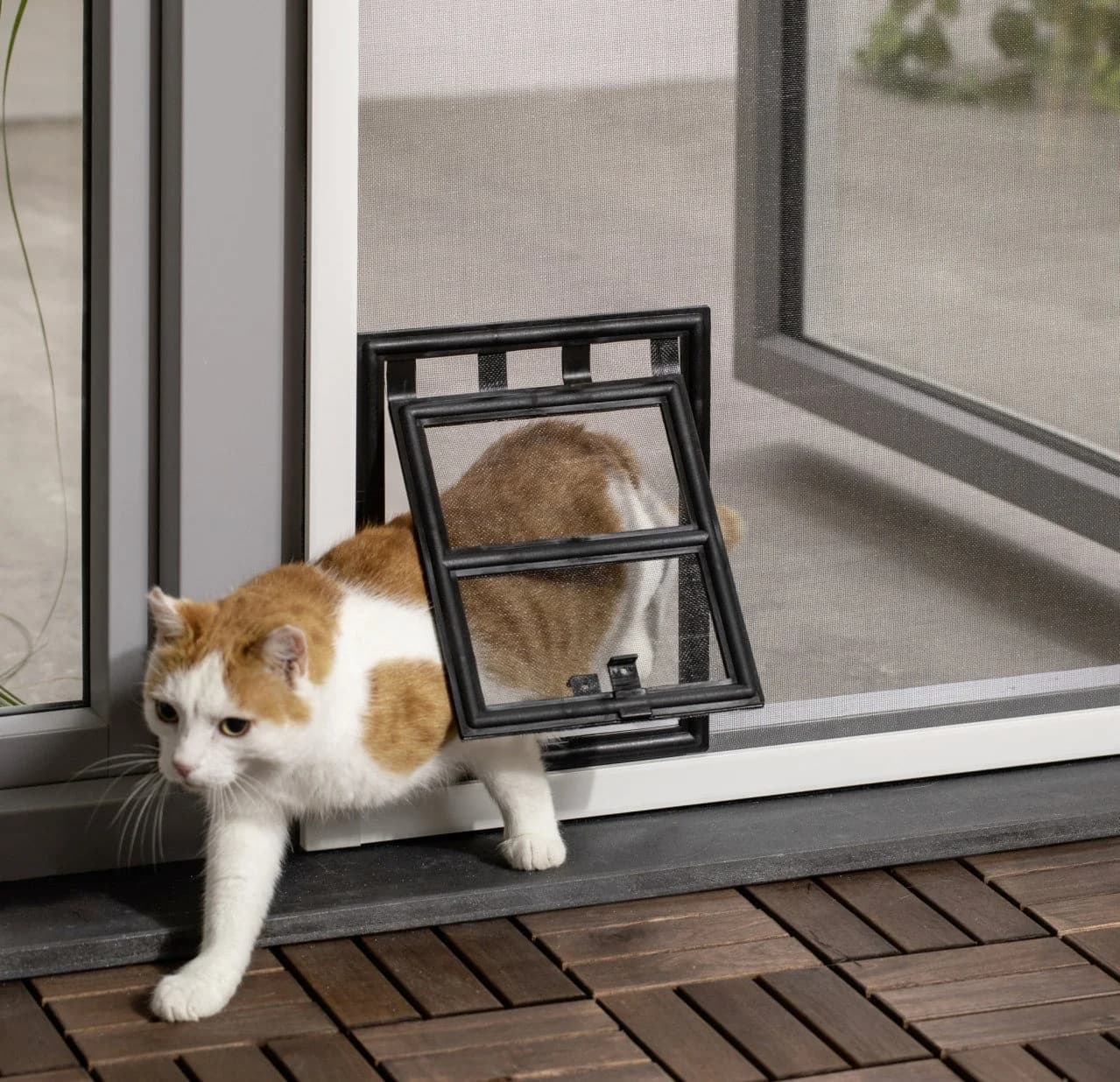 Primaster Katzenklappe für Fliegenschutzfenster anthrazit