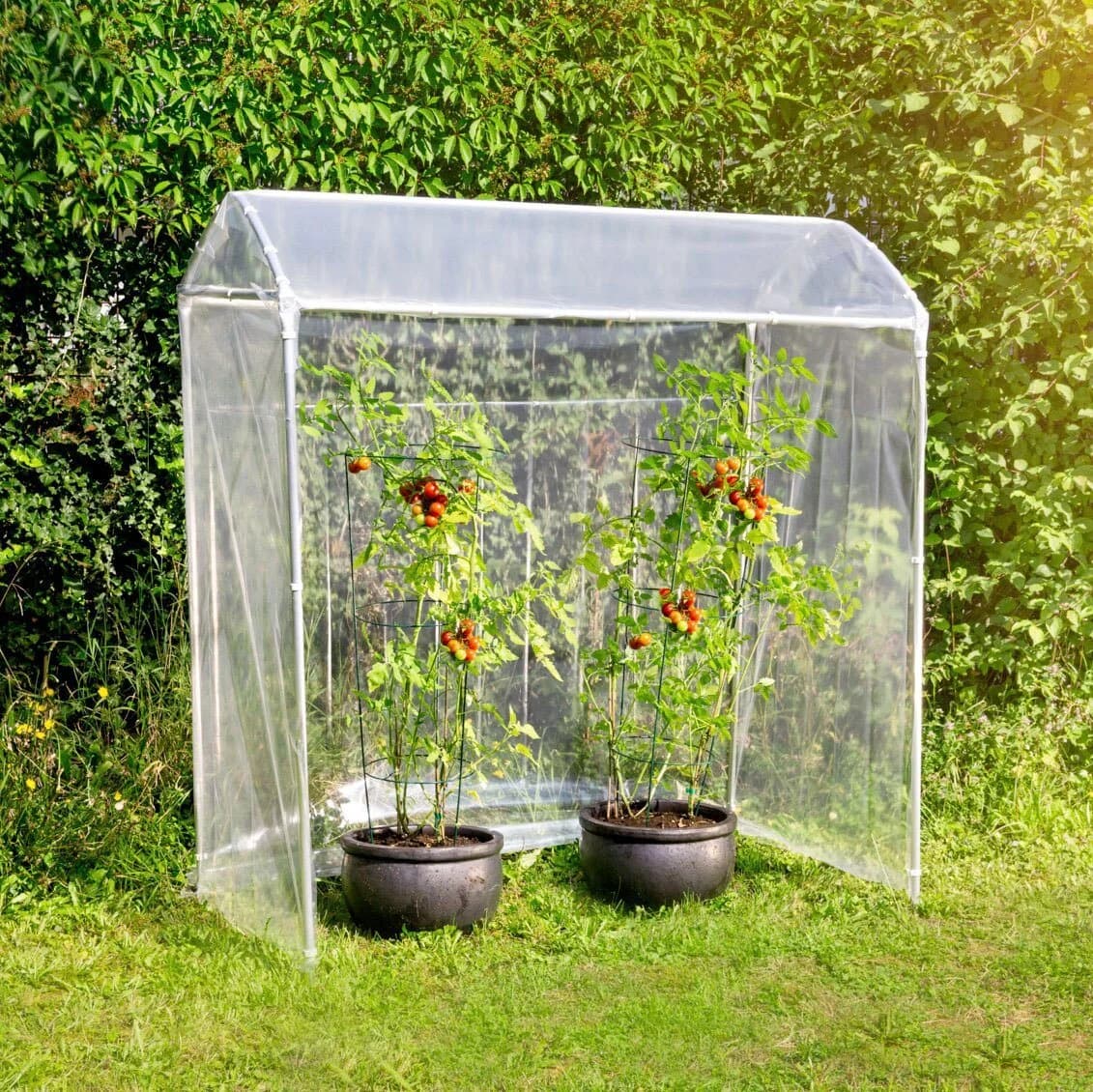 Windhager Tomatengewächshaus Aluminium-Konstruktion