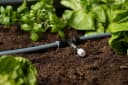 Bewässerungssystem BioHort Tropfbewässerung Schwarz/Grau Bild 2