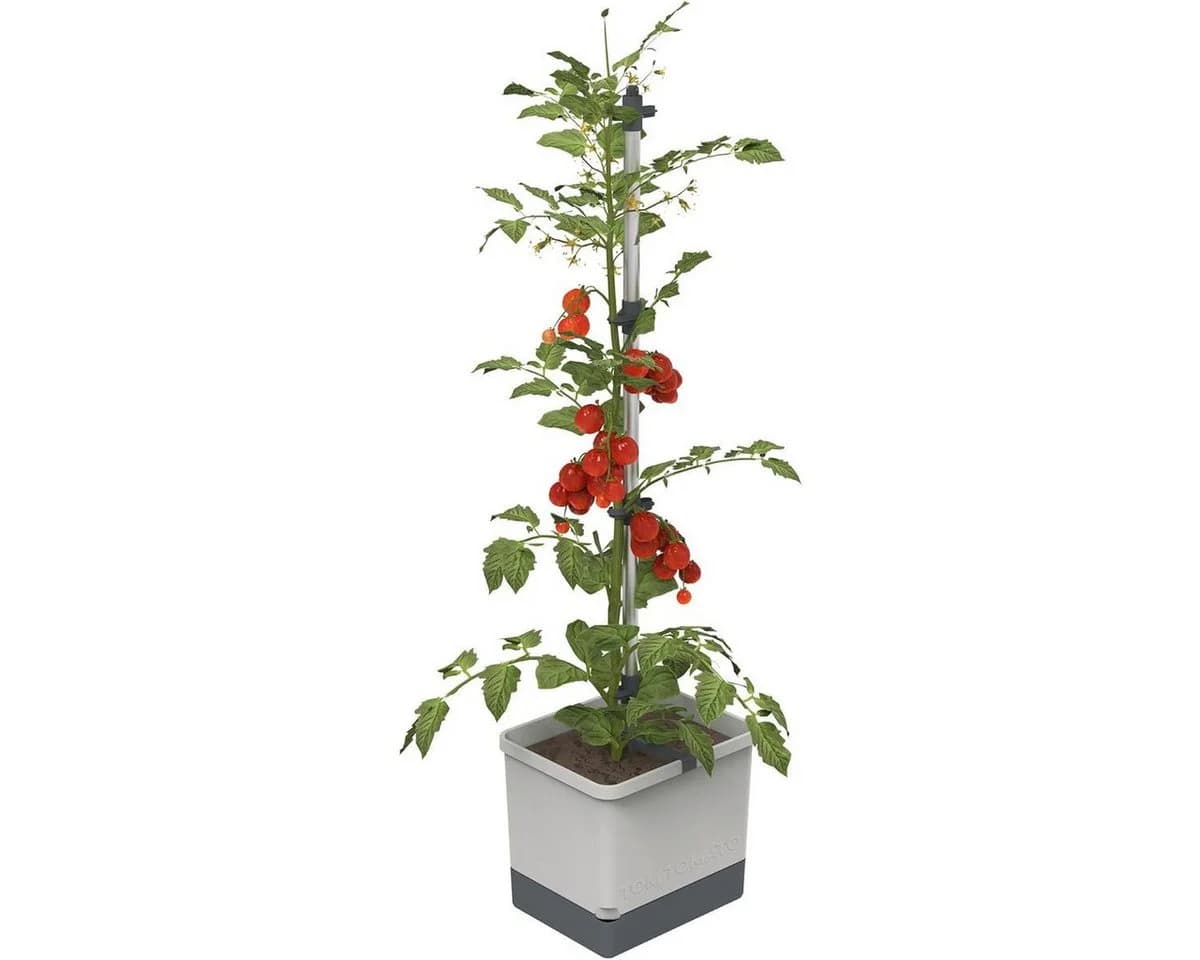 Gusta Garden Tomatentopf TOM TOMATO inkl. Rankhilfe und Bewässerungssystem - Bild 2