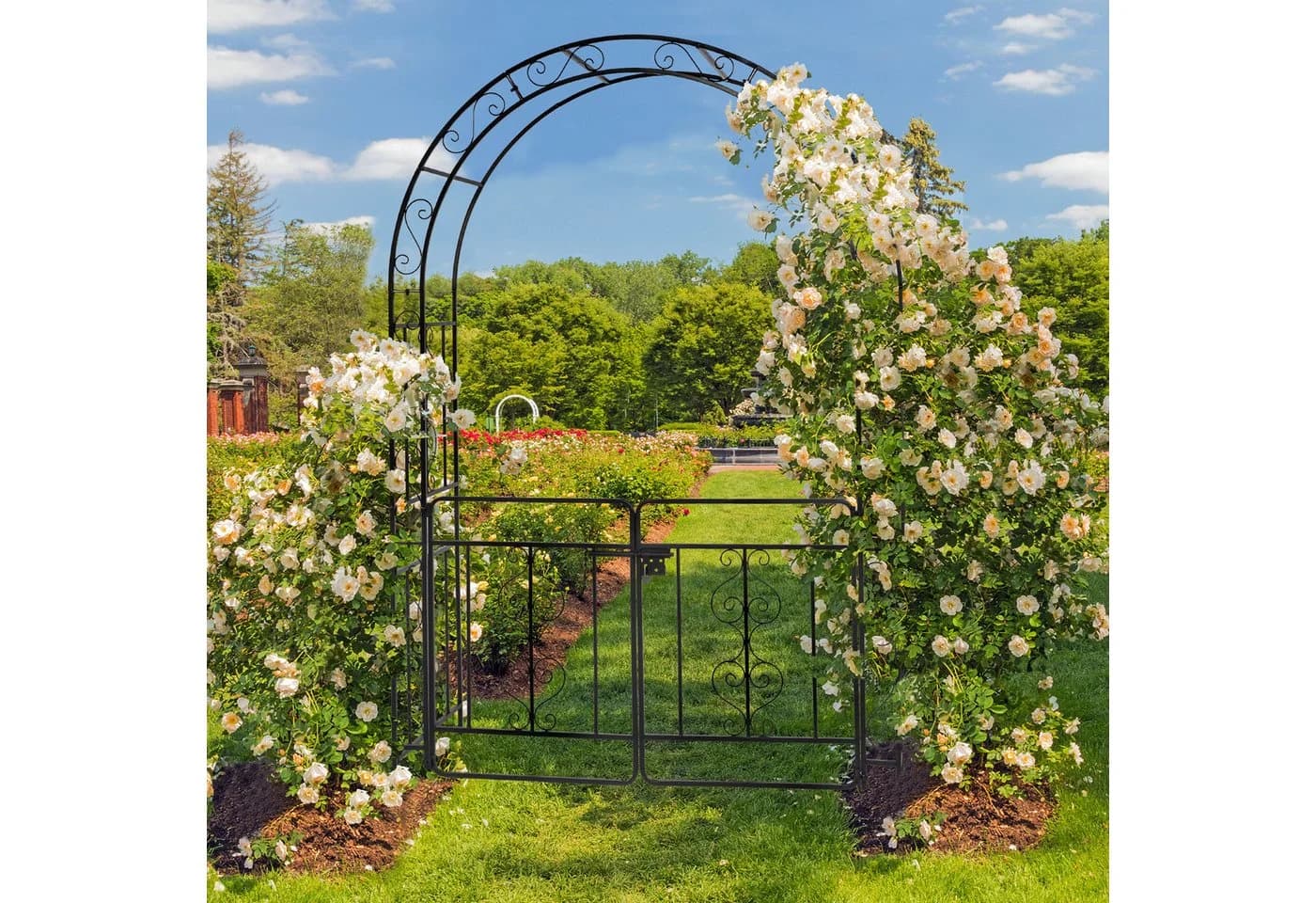 LALAHO Rosenbogen Eisen Gartenbogen mit Tür - Bild 3