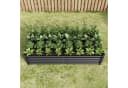BBWL Hochbeet Metall 180x90x30 cm verzinkt Anthrazit Bild 1