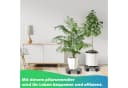 Clanmacy Pflanzenroller Grau 2x Rund WPC mit Rollen Bild 3