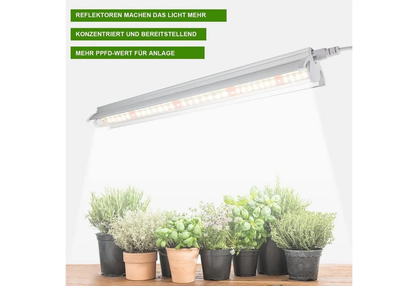 Rosnek Pflanzenlampe 2/4 Stück 10W 5000K Vollspektrum anschließbar - Bild 5