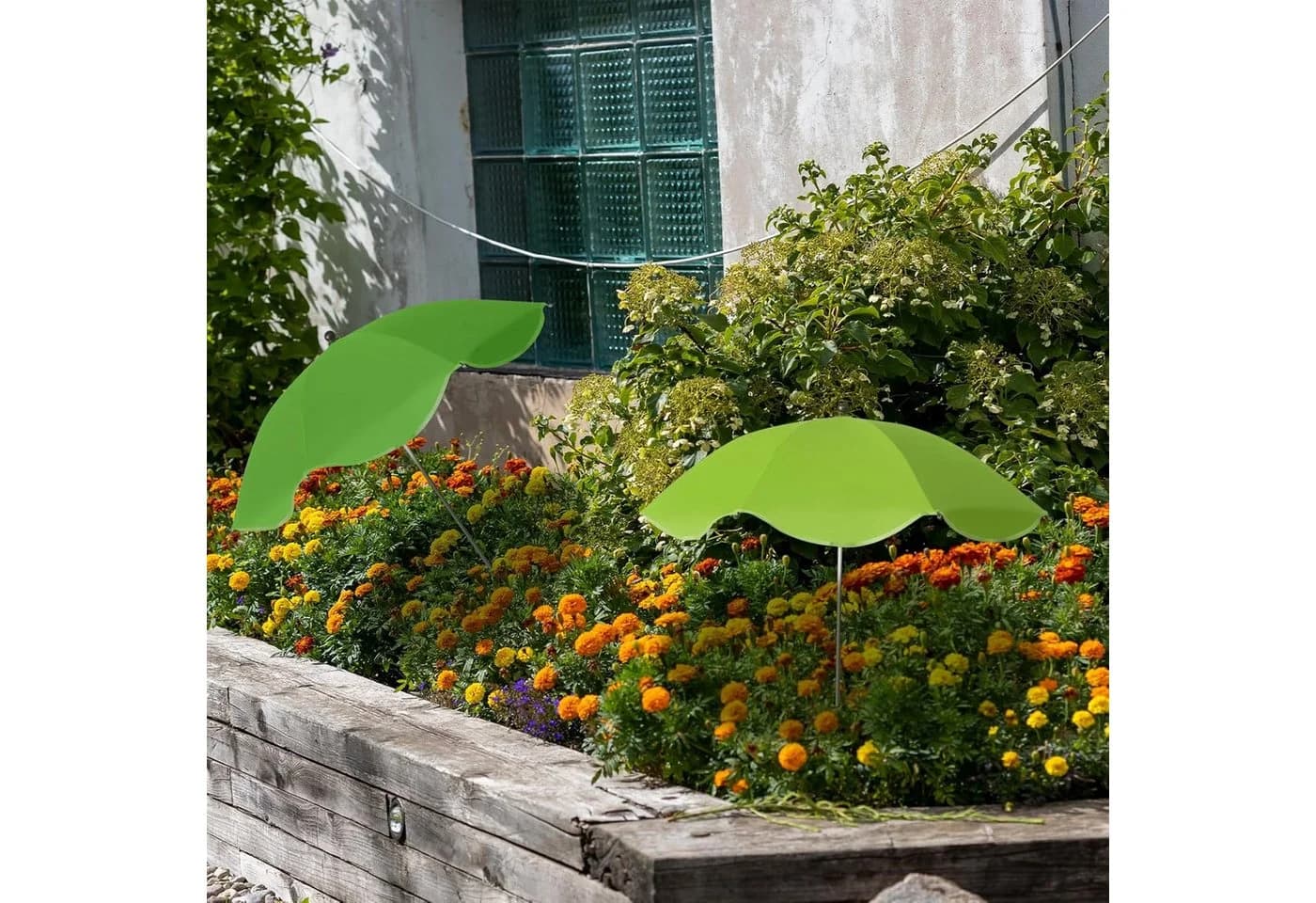 FELIXLEO Pflanzenschirm Sonnenschutz UV-beständig höhenverstellbar Garten - Bild 4