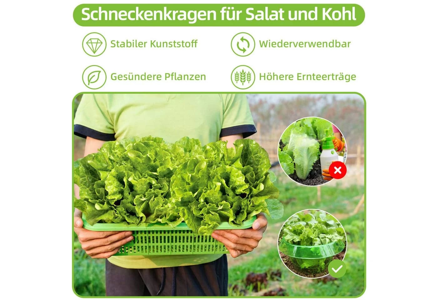 Refined Living Schneckenkragen 12 Stück Schneckenschutz Garten