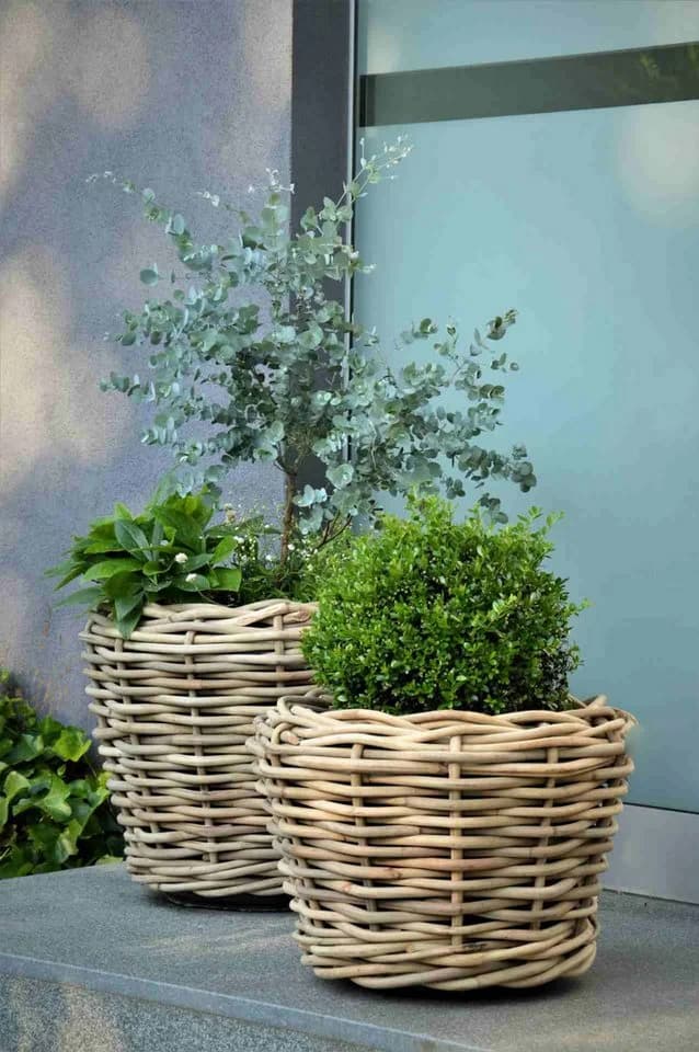 jankurtz Blumenkasten Palau Naturrattan Ø 57 cm mit Innentopf