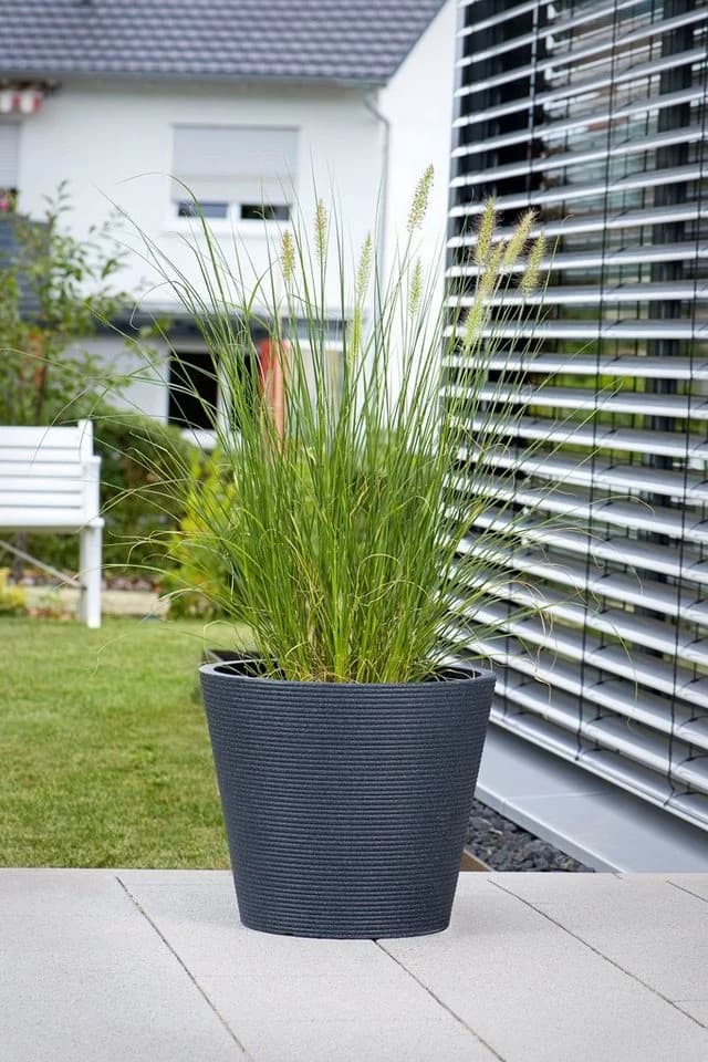 Scheurich Blumentopf CONEO 30 Schwarz Kunststoff