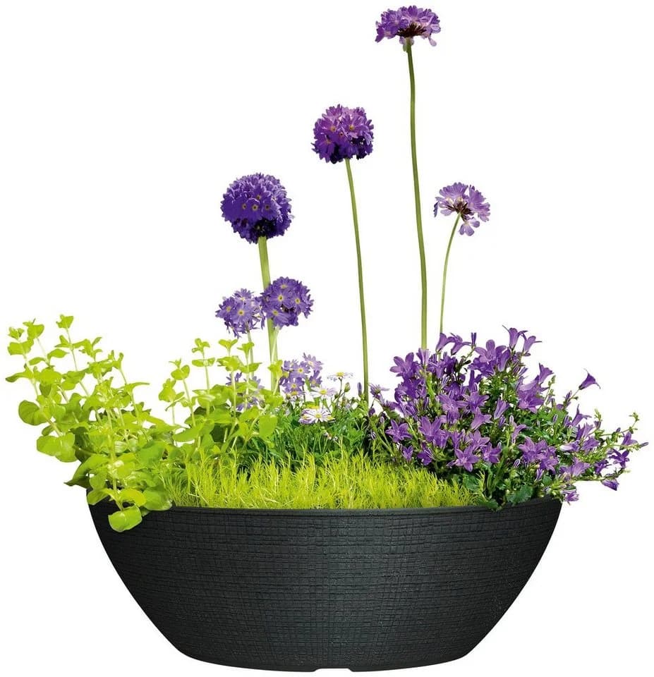 Scheurich Blumentopf 60/298 BARCEO JARDINIERE Schwarz Kunststoff