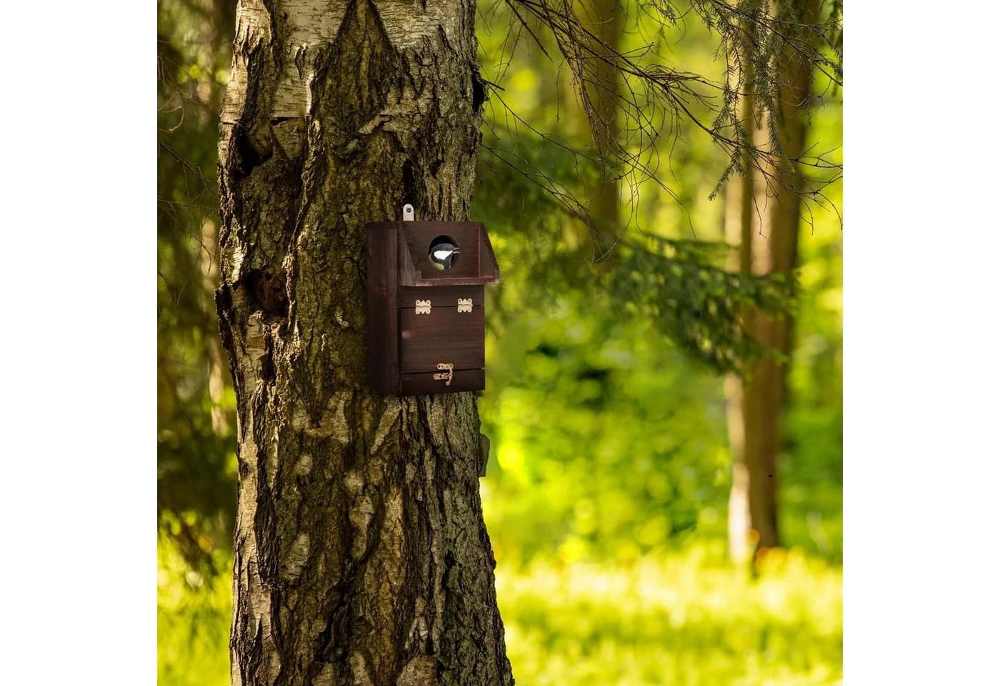 relaxdays Vogelhaus Nistkasten mit Reinigungsklappe Braun Tannenholz