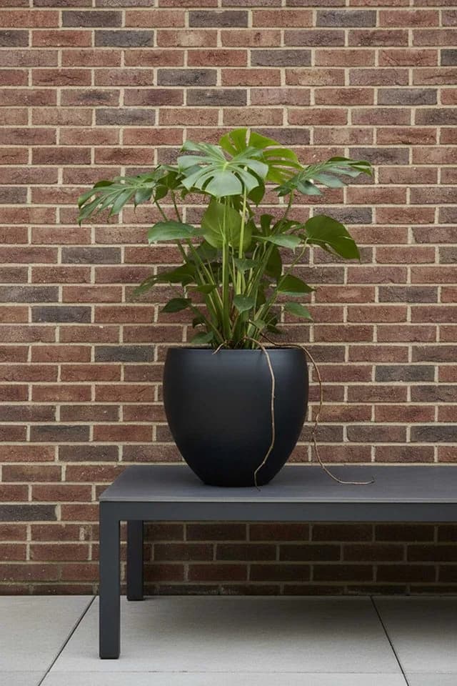 VIVANNO Blumentopf Fiberglas PLUTO Rund - Anthrazit Matt