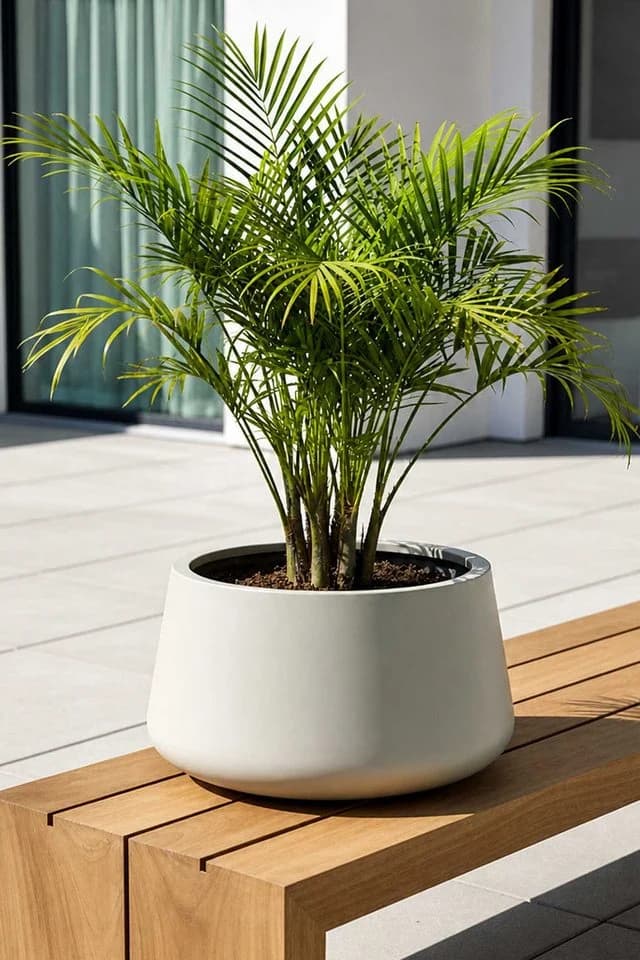 VIVANNO Blumentopf Fiberglas GORDO Creme