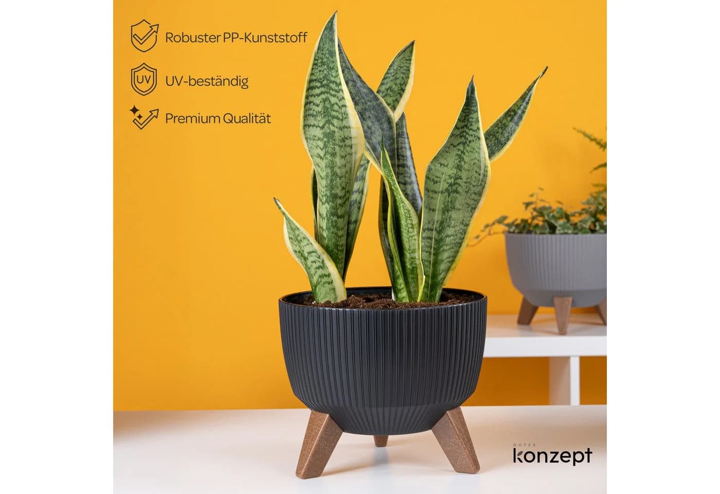 KONZEPT Blumentopf Pflanzschale Schwarz mit Füßen und Wasserabfluss
