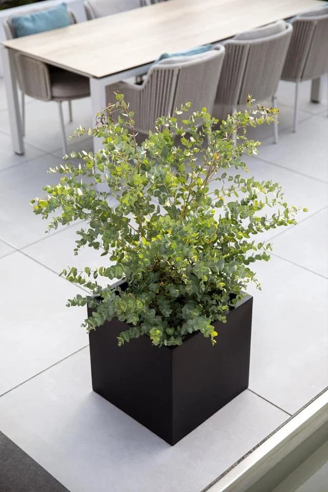 VIVANNO Pflanzkübel Fiberglas BLOCK Würfel Anthrazit Matt