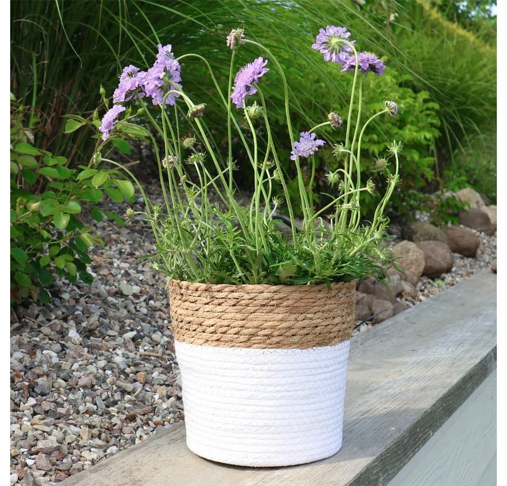 Grafelstein Pflanzkübel BREEZY Weiß mit braunem Rand 22 cm