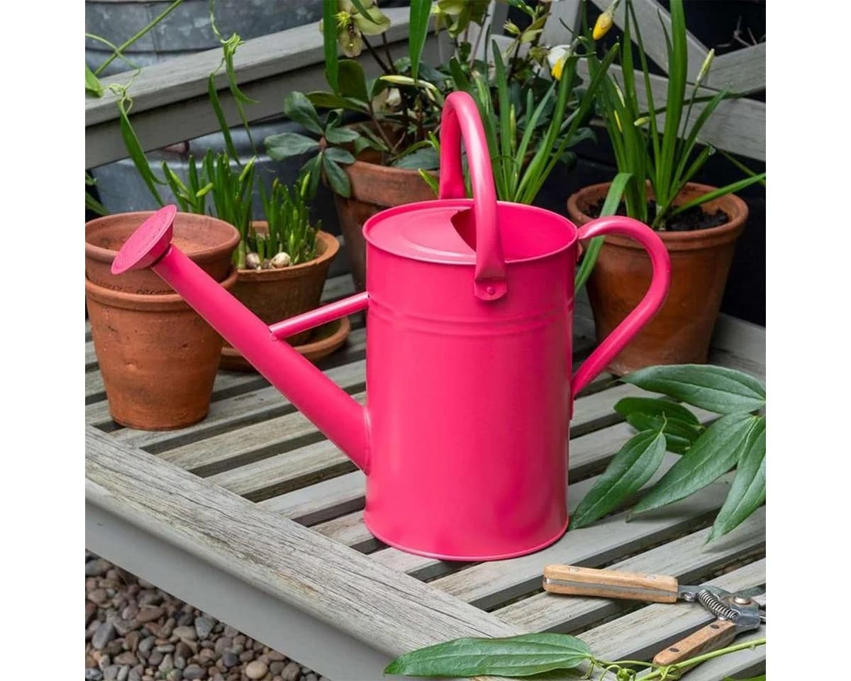 Rex London Gießkanne 4,5 L Blau Verzinkter Stahl